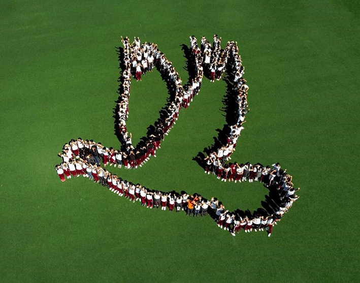 Alumno del CETIS 67, gana concurso fotográfico