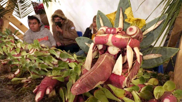 Oaxaca vuelve a celebrar la tradicional “Noche de Rábanos”
