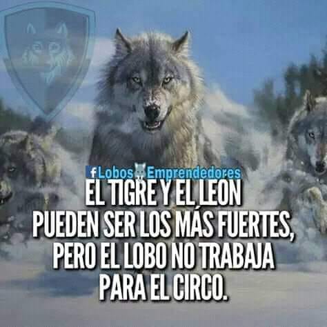 Libertad, no fuerza