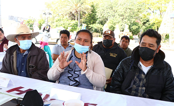 En Huaquechula, solicitan a Cultura intervención de “Los Ahuehuetes”
