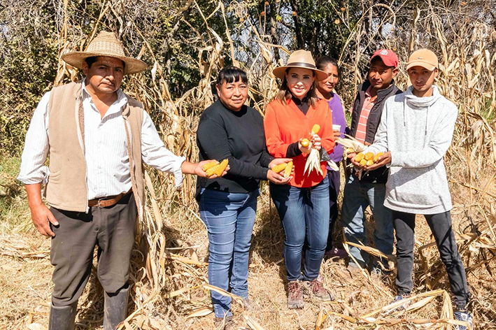 Apoyo al campo cholulteca es compromiso permanente: Paola Angon