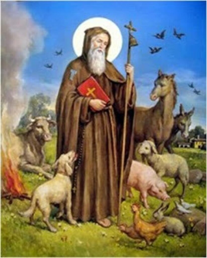 El 17 de enero día de san Antonio Abad