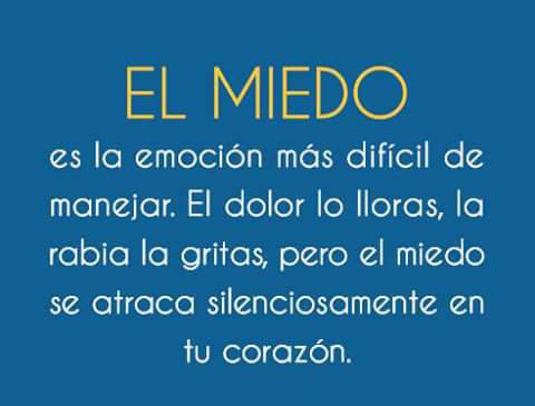 Miedo