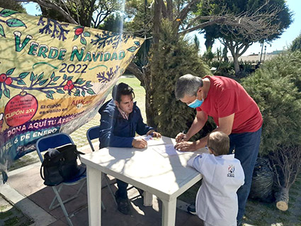 Este miércoles termina recepción de arbolitos navideños