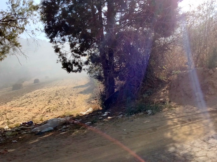 Incendio en el cerro Zapotecas