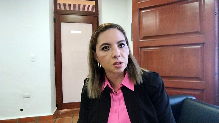 Hay seguimiento a alerta de género: Paola Angon