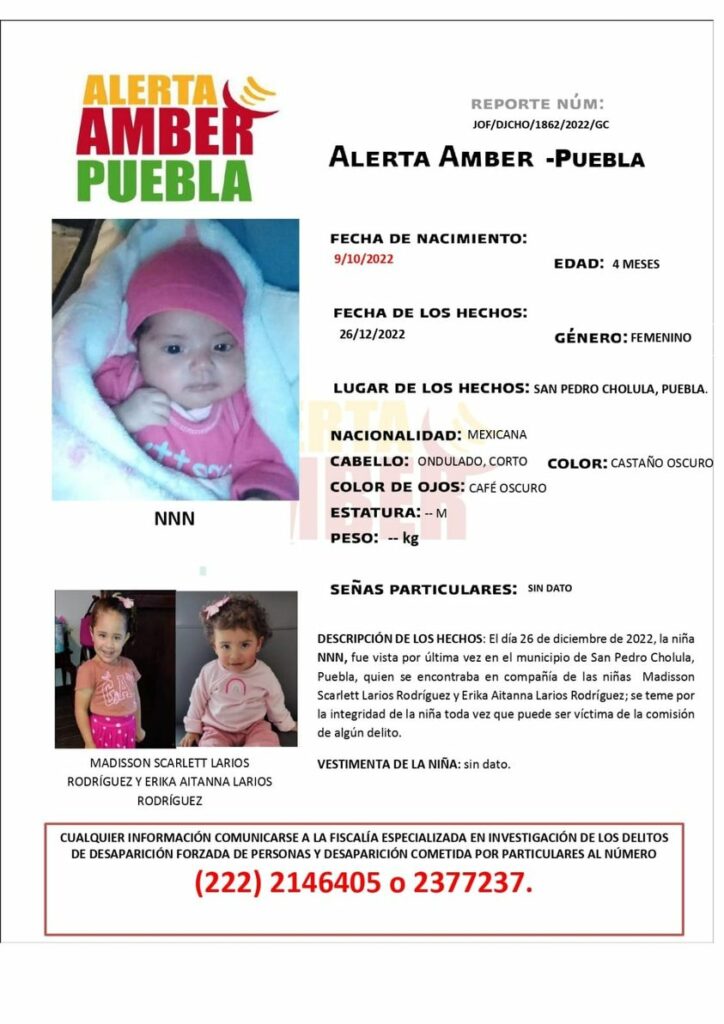 Servicio Social