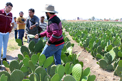 Impulsa gobierno estatal cooperativas agrícolas en San Andrés Cholula