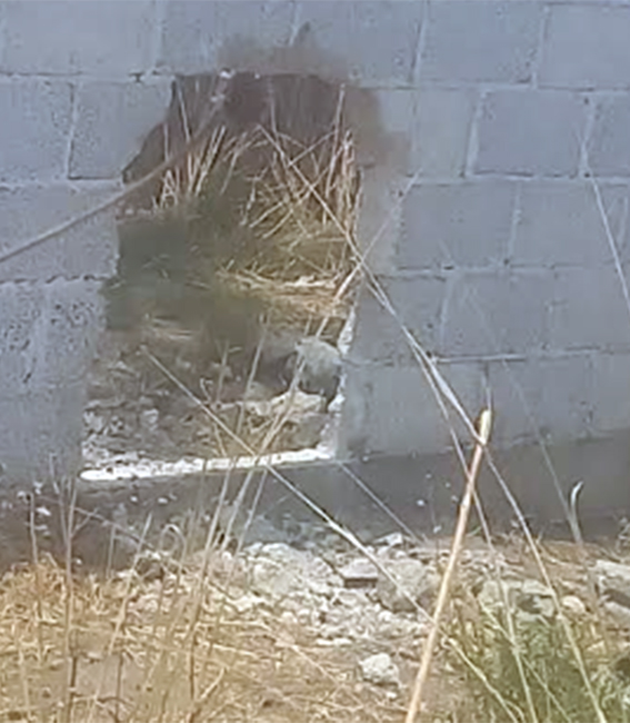 Ni los muertos se salvan  * La inseguridad en el municipio es total * Se robaban cruces metálicas para venderlas por kilo  Por Vidal SOLÍS