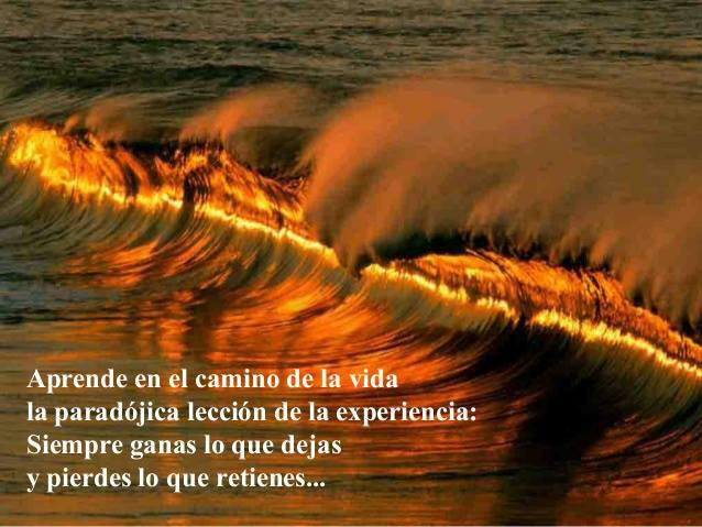 En el camino de la vida