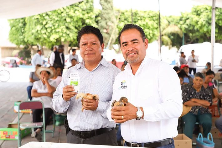 Entrega comuna paquetes de aves de traspatio