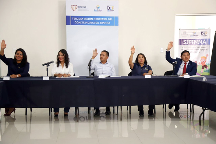 SIPINNA llevó a cabo la tercera sesión ordinaria
