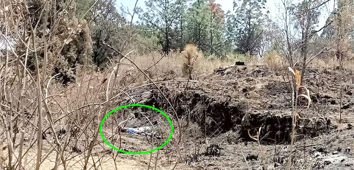 Pudo haber caído en el Zapotecas y eso le provocó la muerte
