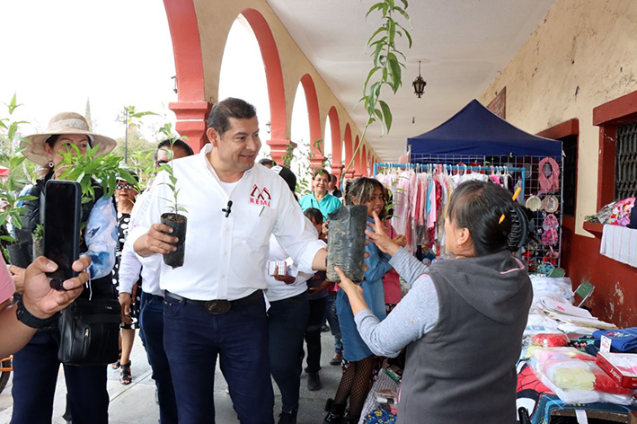 Paneles solares en tianguis y mercados impulsará Armenta