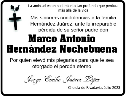 La amistad es un sentimiento…