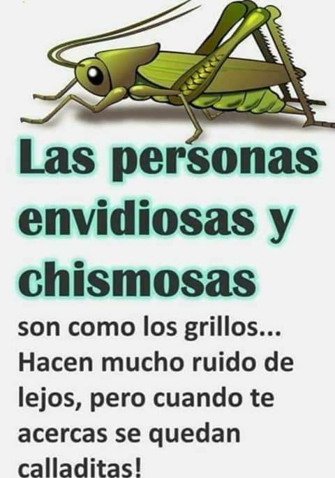 Personas grillas