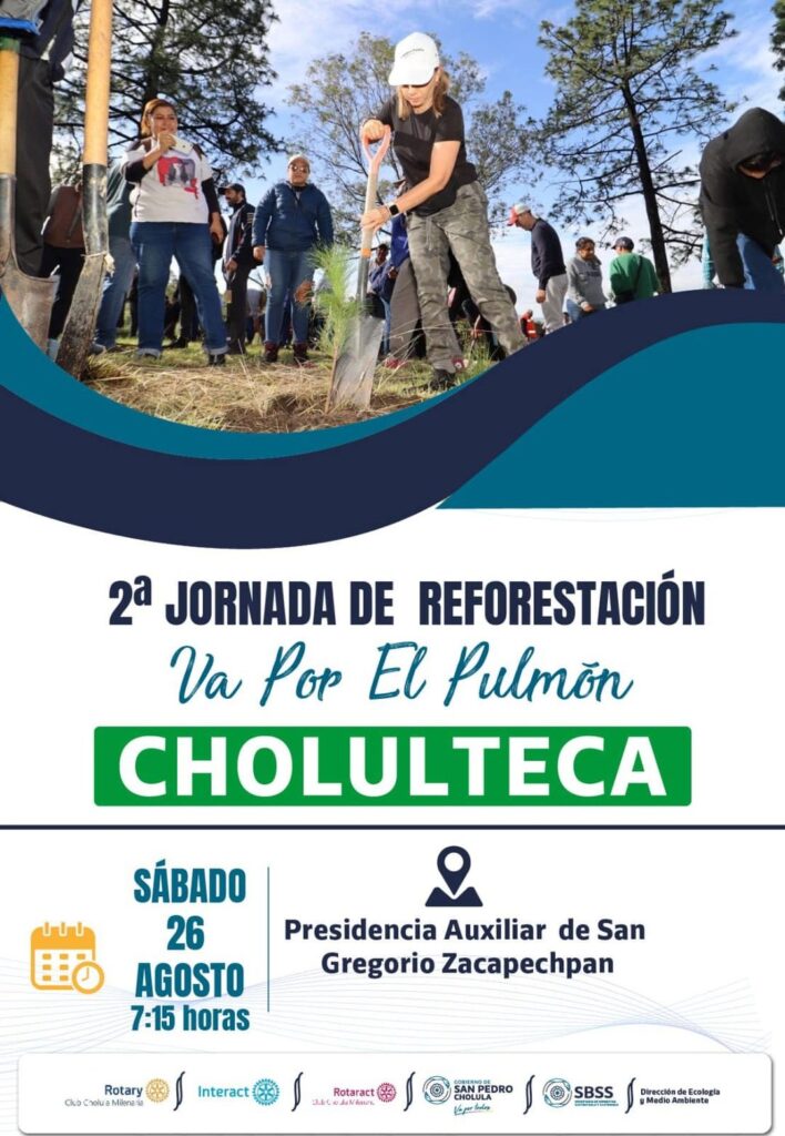 Jornada de reforestación en el cerro Zapotecas este sábado