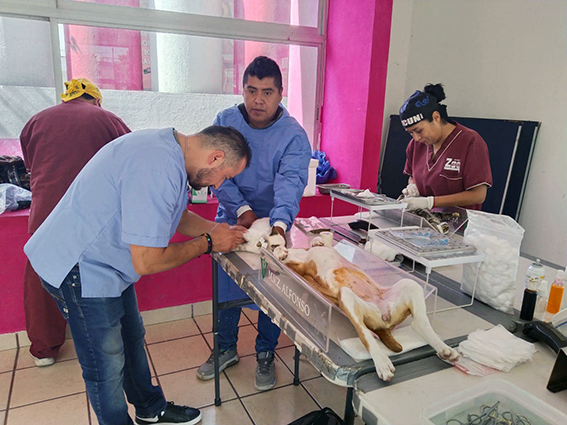 En Momoxpan, se tuvo jornada de esterilización