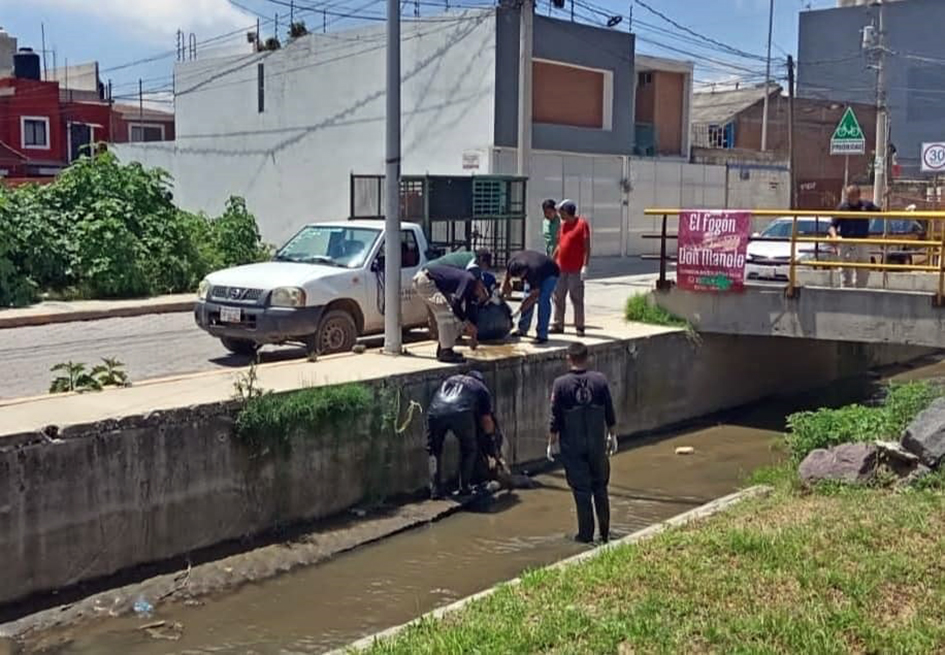 Encontraron en el “Rabanillo” borregos muertos