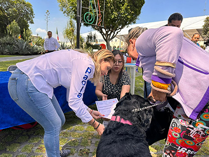 Hay interés por registrar a las mascotas