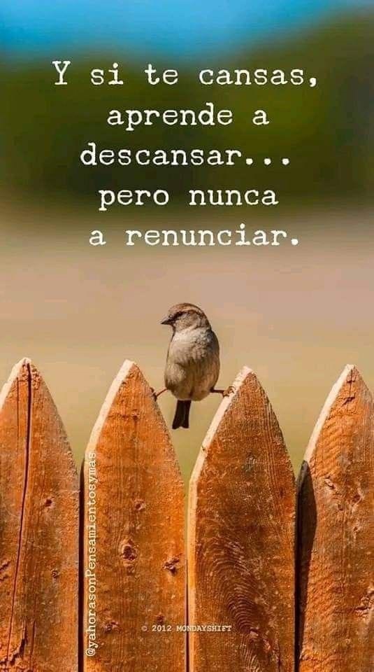 Si te cansas…
