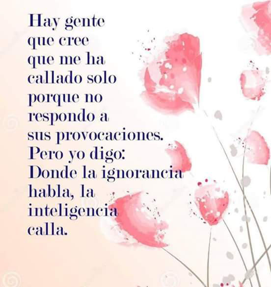 Donde la ignorancia calla…