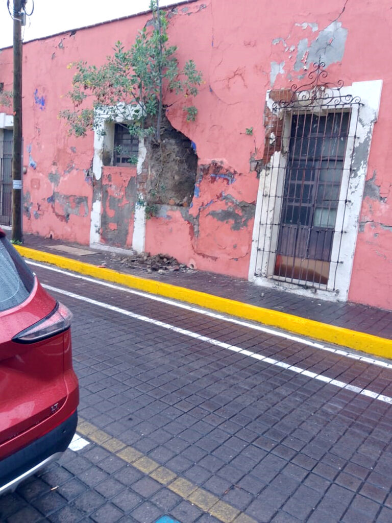 Crecen plantas en muro de casa abandonada