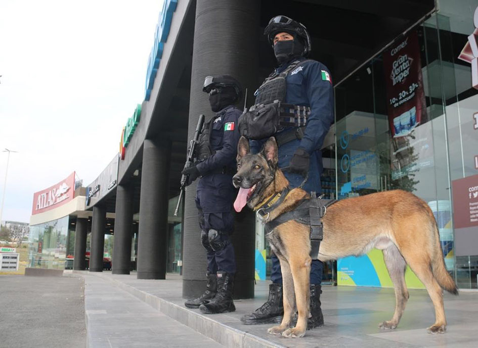 Ante repunte de actividad comercial, policía fortalece el operativo “Plaza Segura”