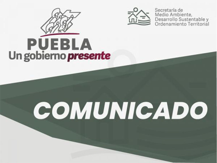 Procederán contra quienes colocaron estructuras publicitarias