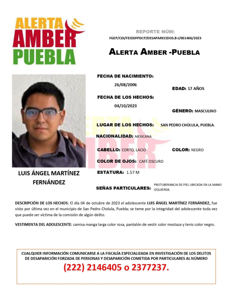Servicio Social