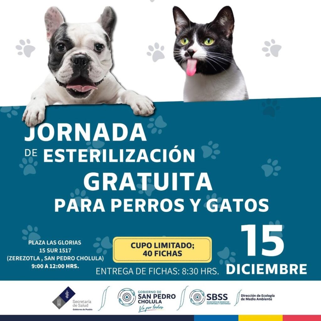 Viernes 15, Jornada de Esterilización