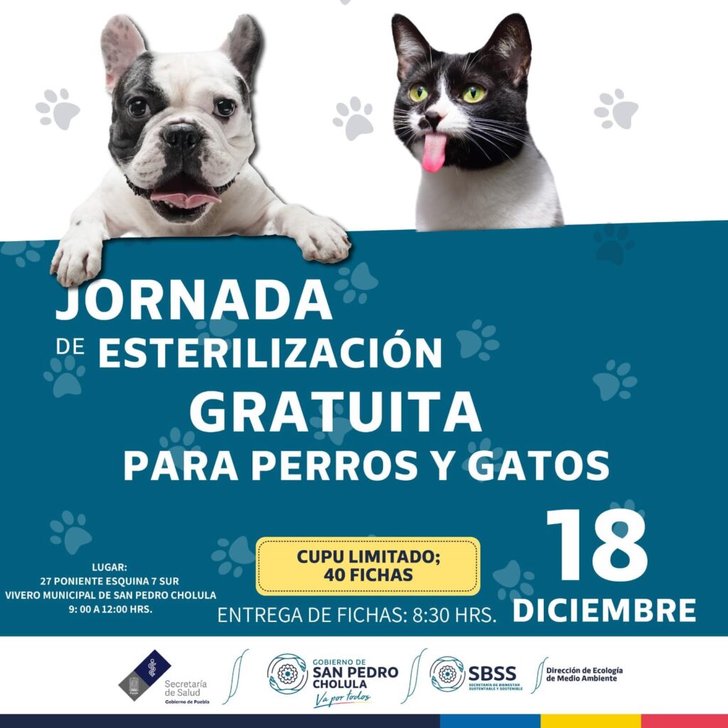 Jornada de Esterilización canina y gatuna