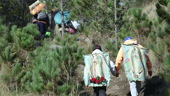 Peregrinos desbordan su fe a la virgen de Guadalupe caminando por las carreteras