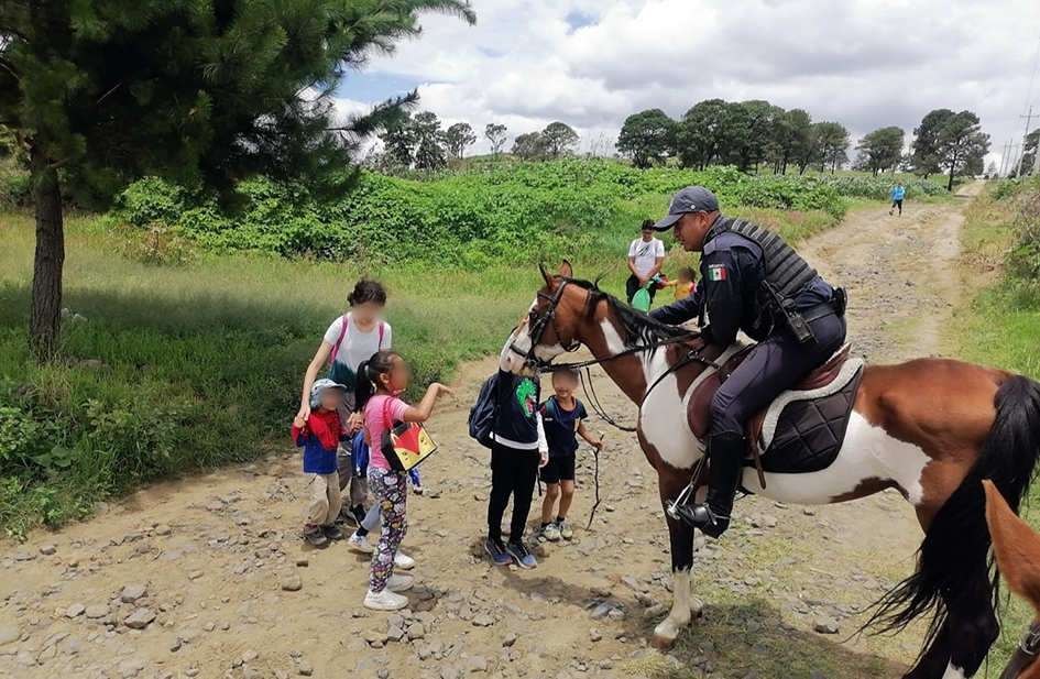 No desaparece la Policía Montada