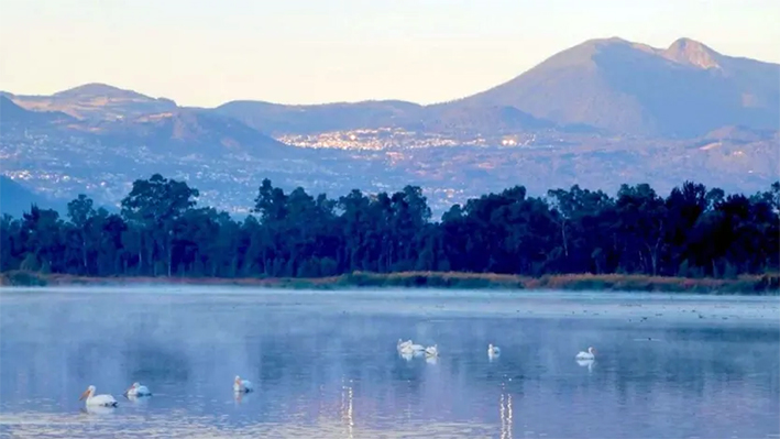 Pronóstico del clima en México hoy 26 de enero de 2024