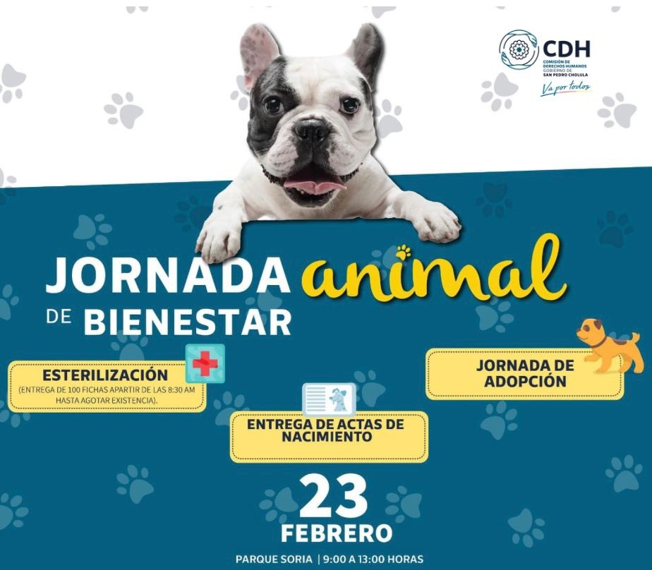 Jorna de Bienestar Animal