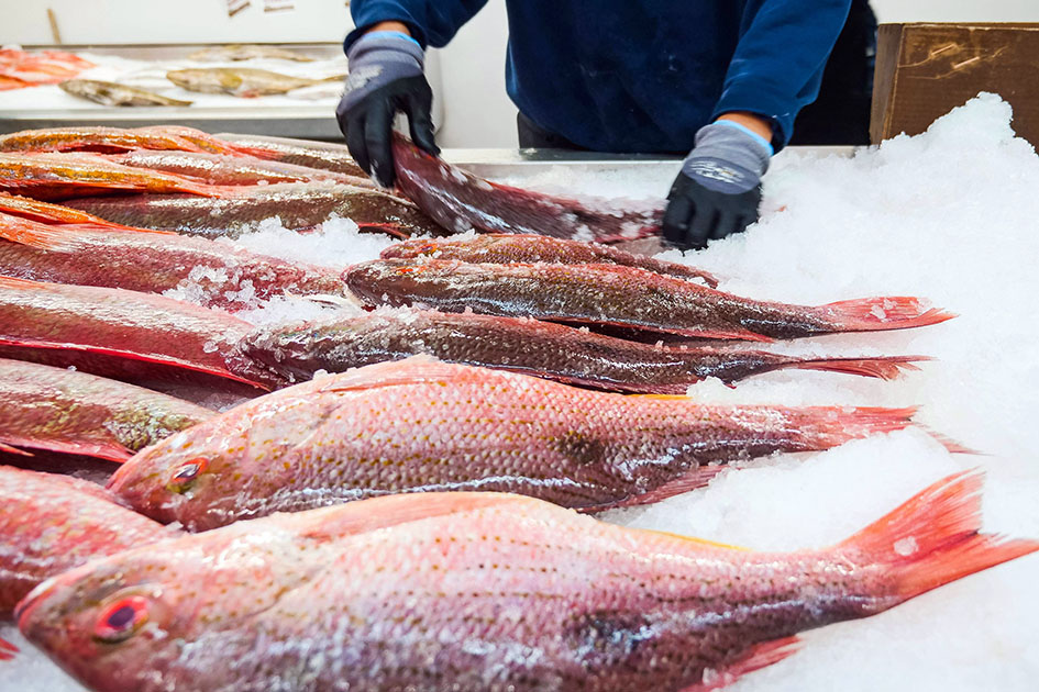 Mínimo el incremento en la venta de pescado