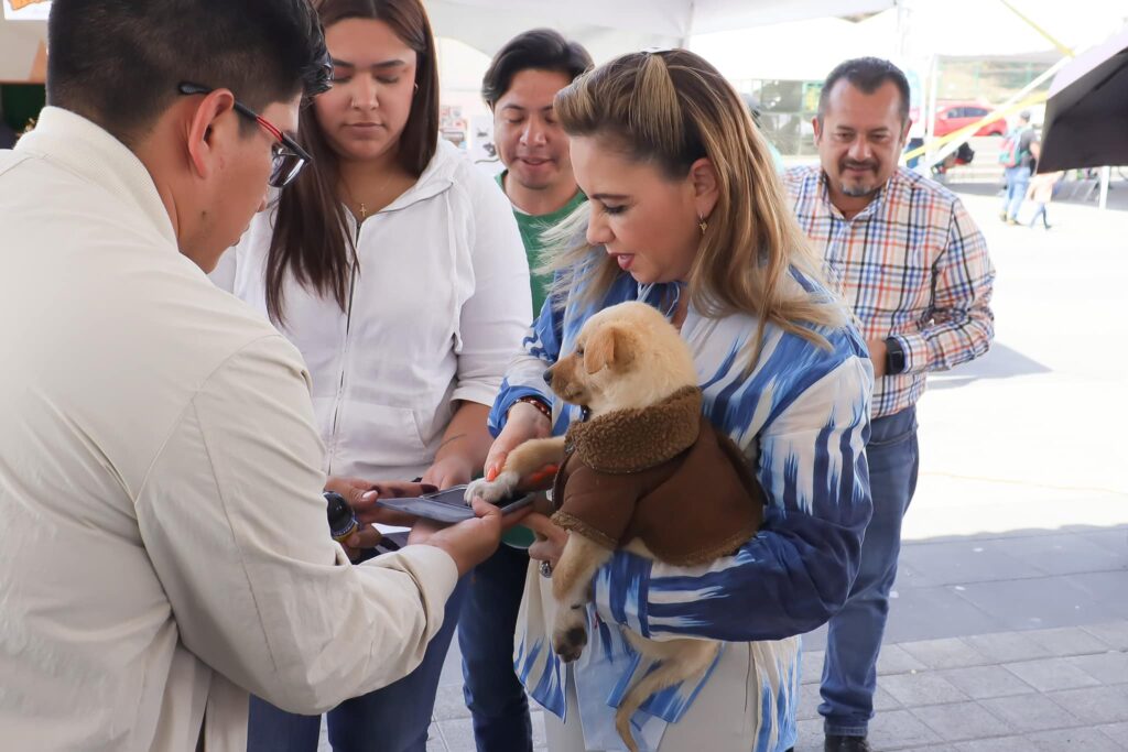 Reglamento “Tenencia Responsable de Mascotas” será actualizado