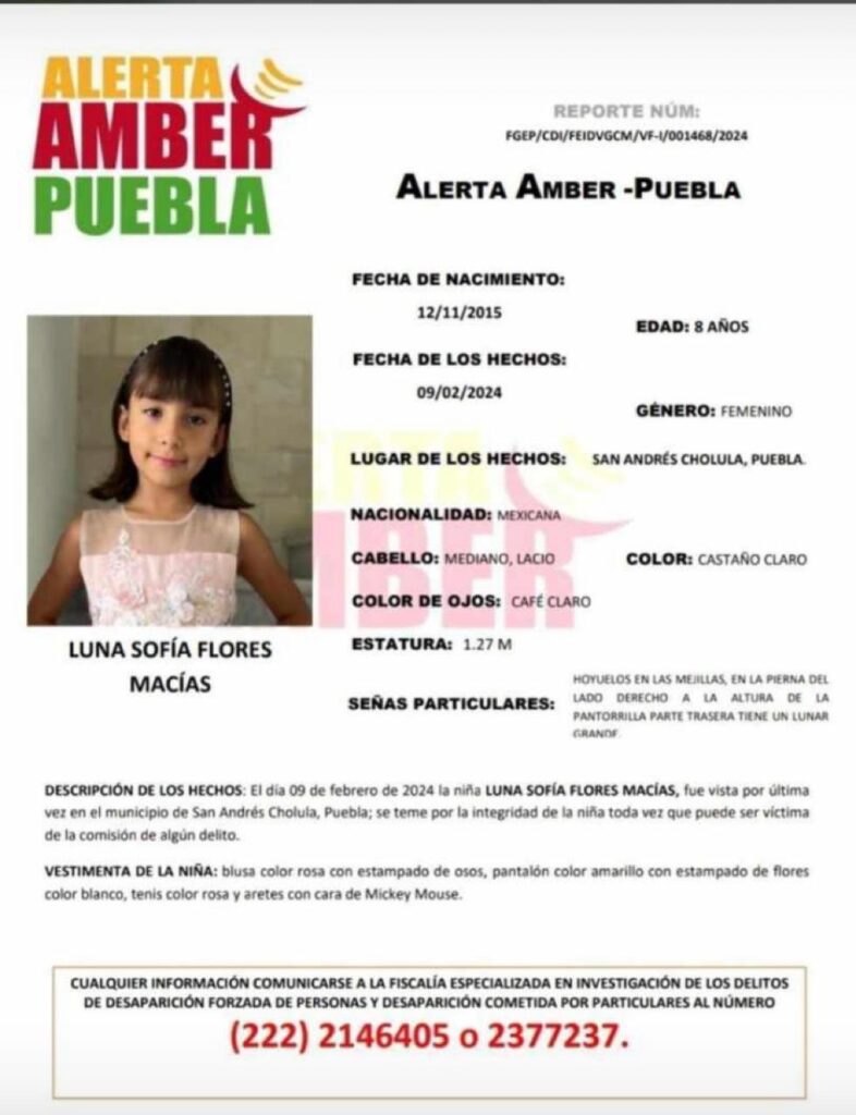 Servicio Social