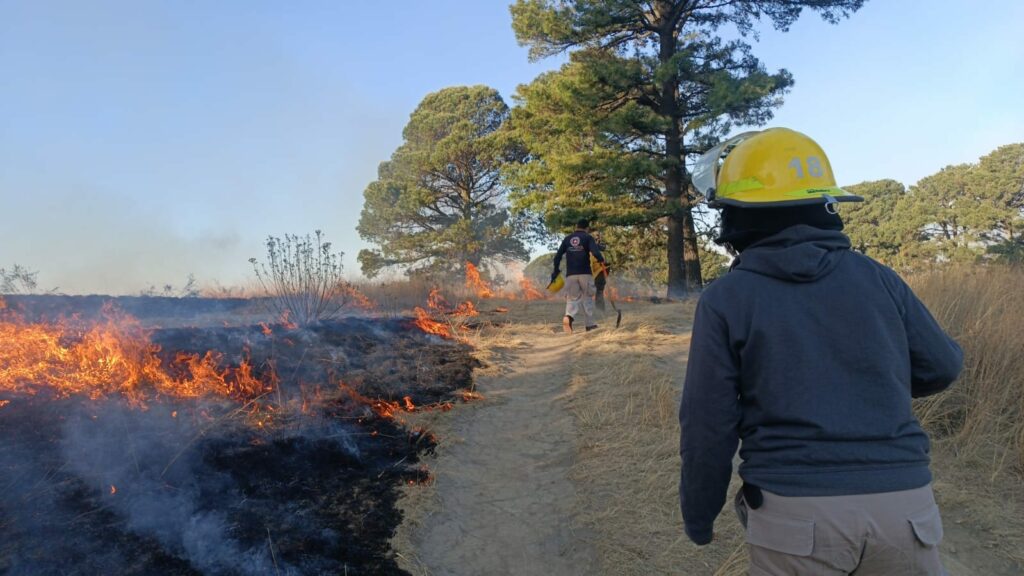 Incendio en Zapotecas, afectó 30 hectáreas