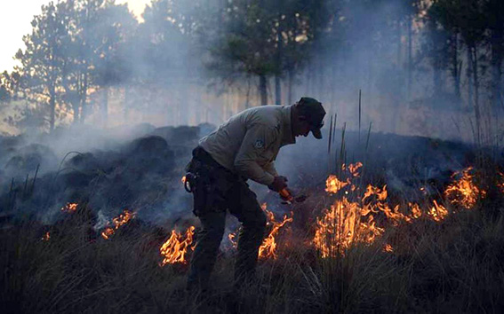 Liquidados nueve de 12 incendios registrados en Puebla