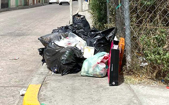 Se está regularizando el servicio de limpia: Paola Angon