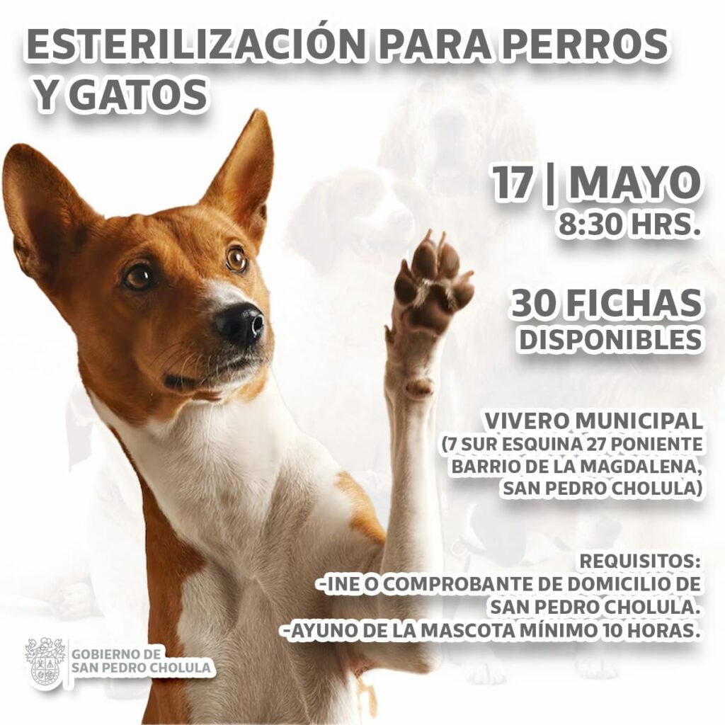 Jornada de Esterilización para Perros y Gatos