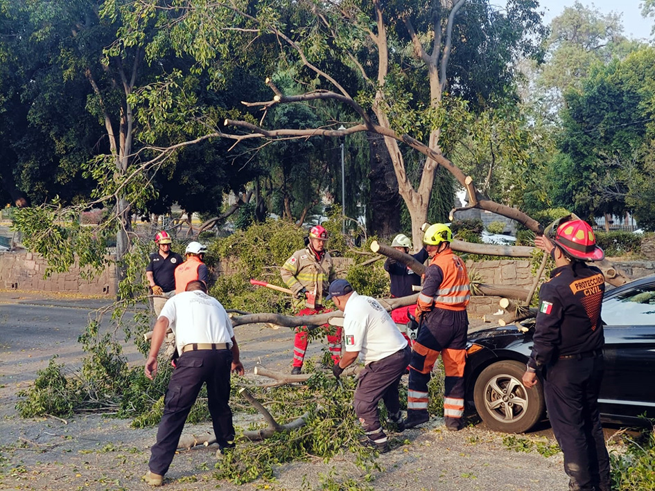 Fuertes ventarrones azotaron la ciudad