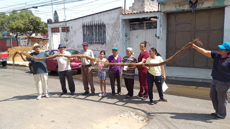 Raíces tapan tubería de agua potable