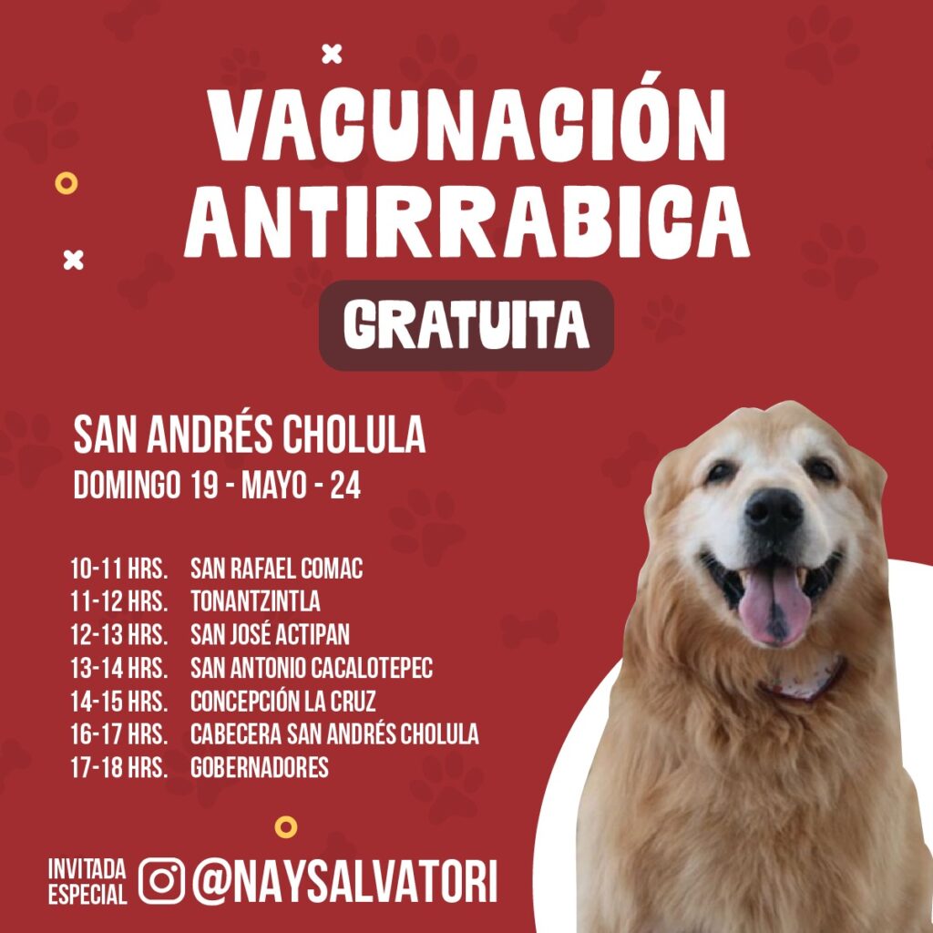 Jornada de Vacunación Antirrábica, San Andrés Cholula