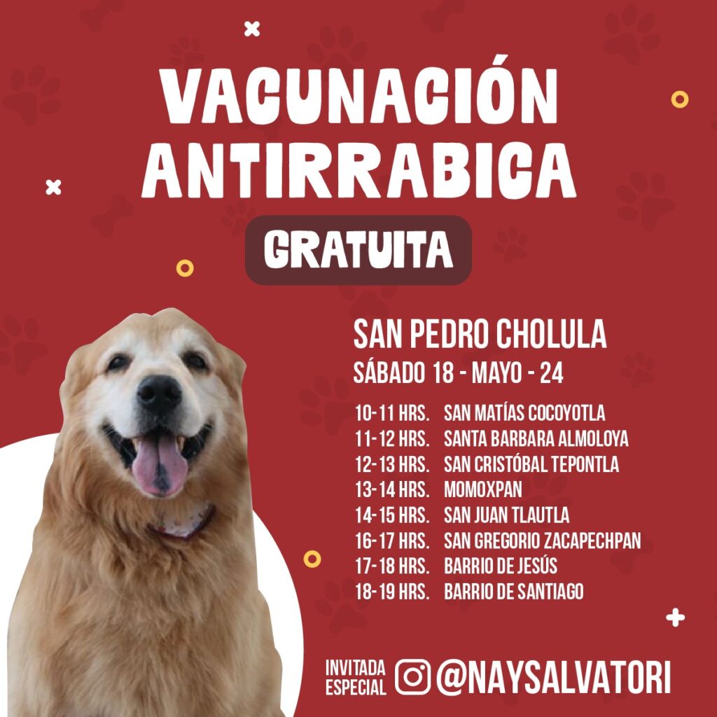 Jornada de Vacunación Antirrábica, San Pedro Cholula