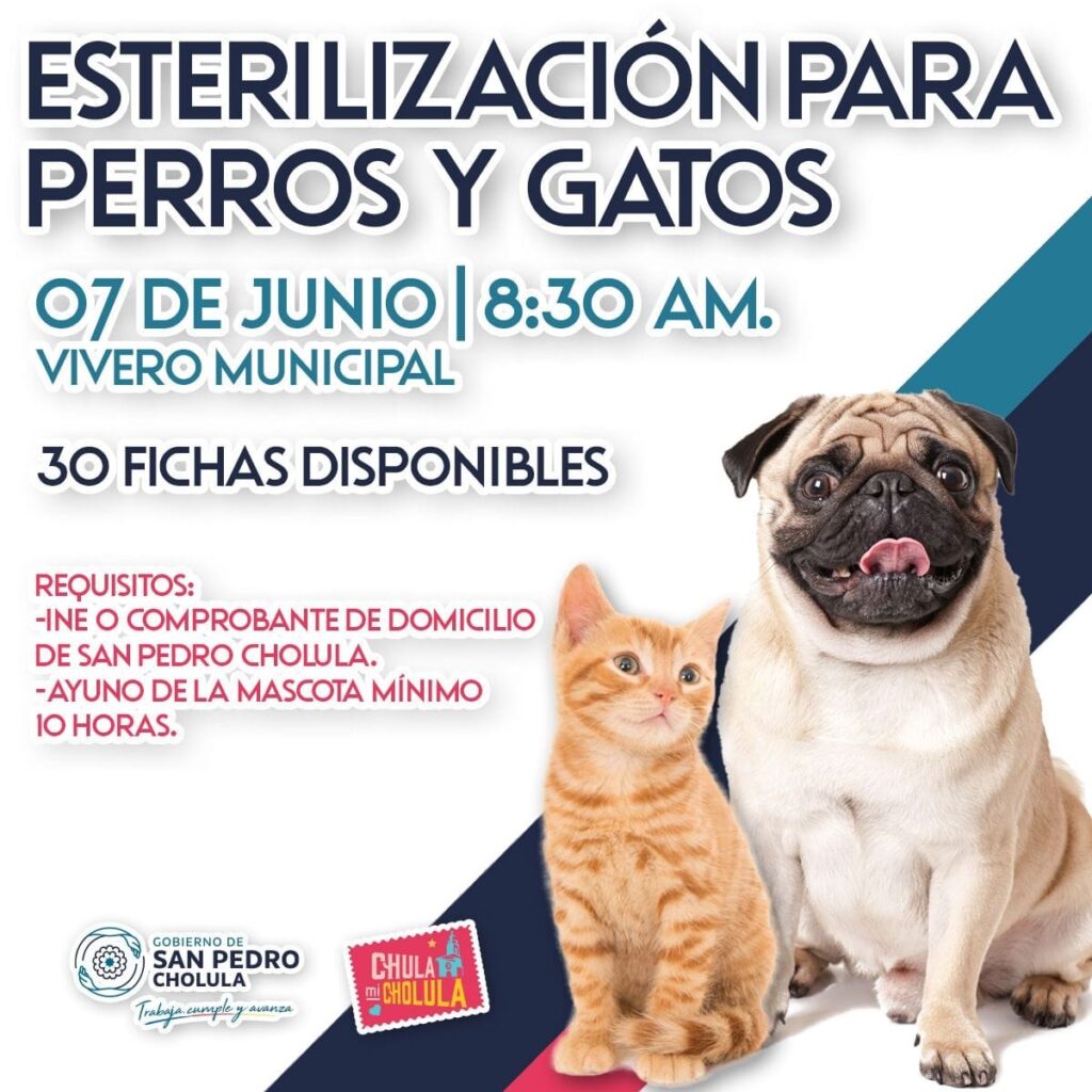 Jornada de Esterilización canina y gatuna