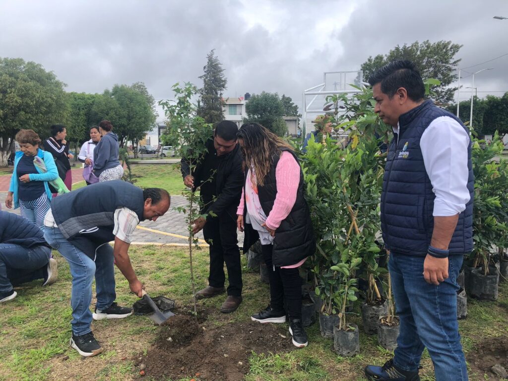 Se han sembrado 30 mil renuevos en el municipio