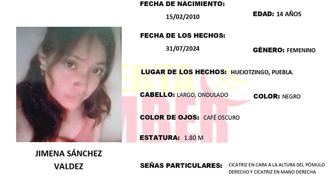Servicio Social